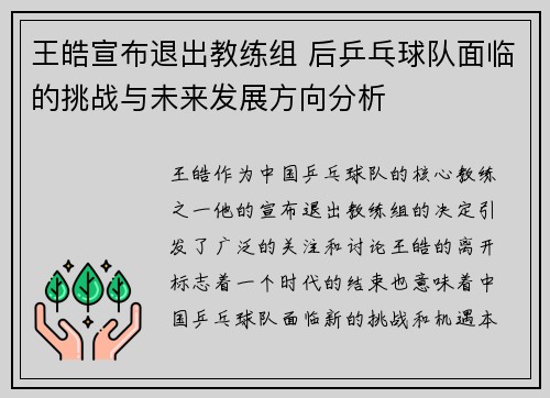 王皓宣布退出教练组 后乒乓球队面临的挑战与未来发展方向分析 王皓宣布退出教练组 后乒乓球队面临的挑战与未来发展方向分析